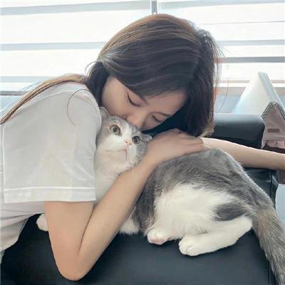 狐狸的故事